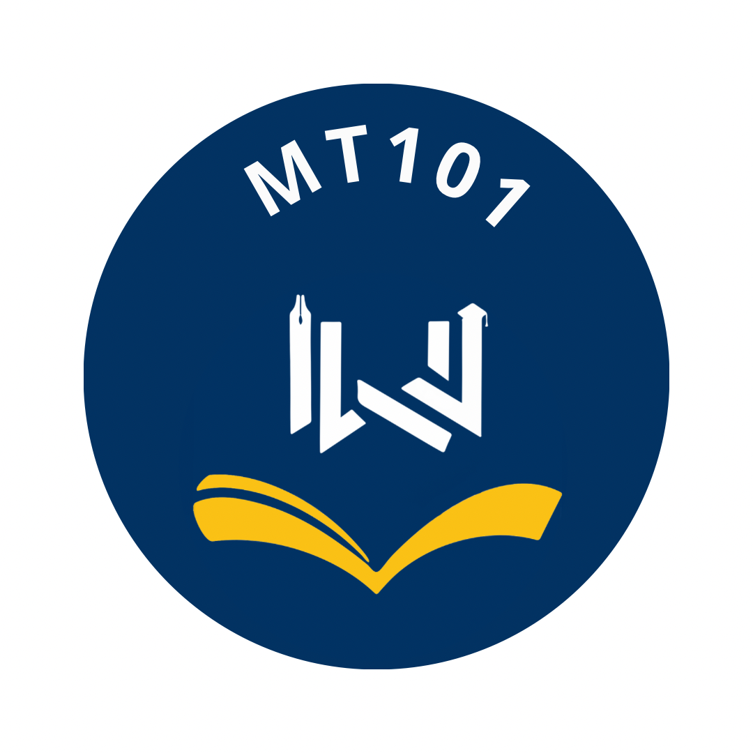 MT101