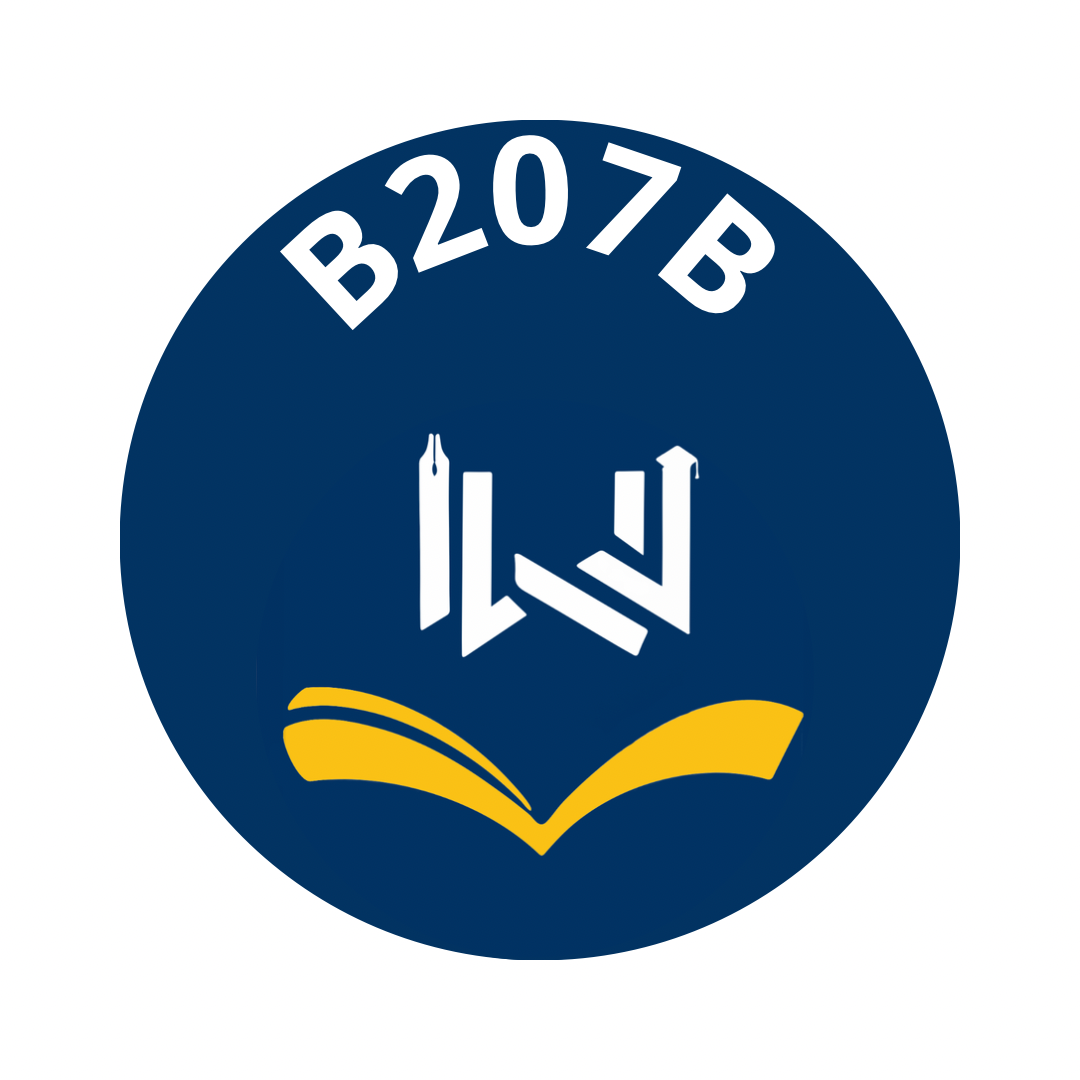 B207B